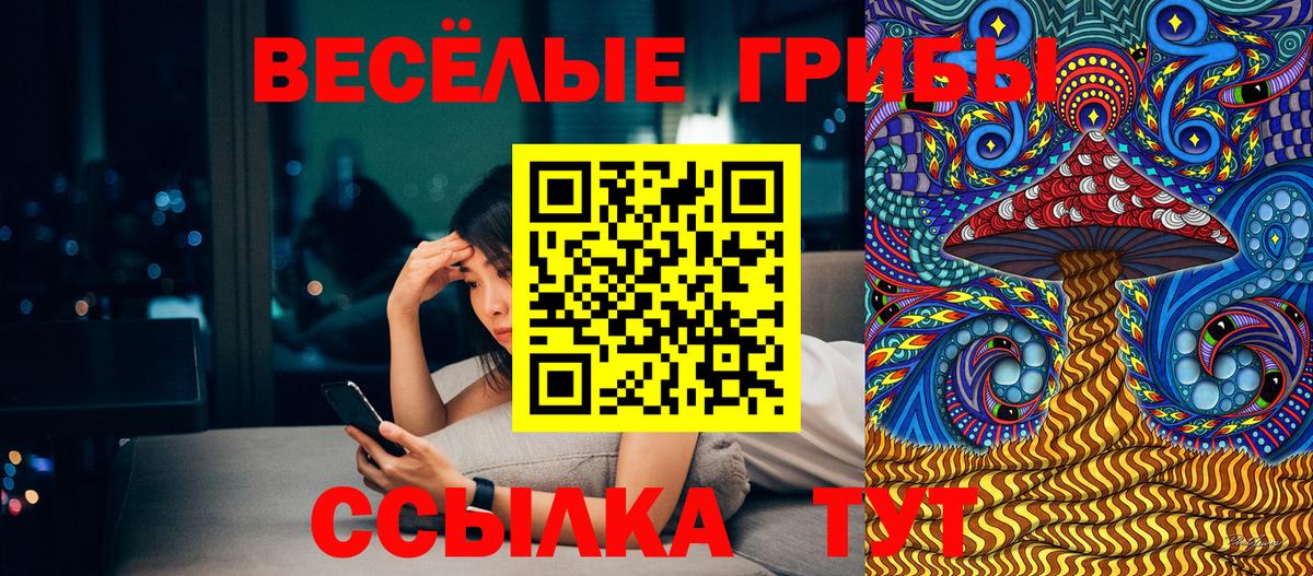 Галлюциногенные грибы мухоморы  Вход с VPN  Лангепас  Псилоцибиновые грибы Psilocybine cubensis 